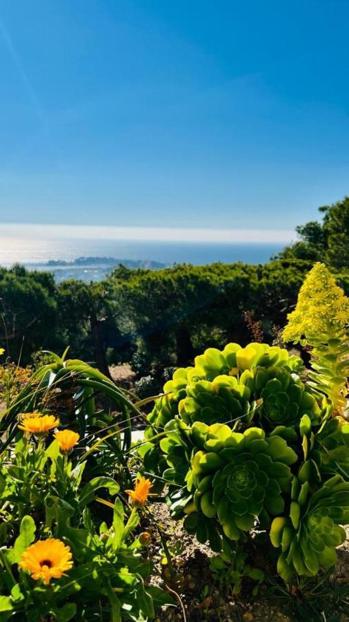 Vue Mer Panoramique Et Piscine Bandol Exterior foto
